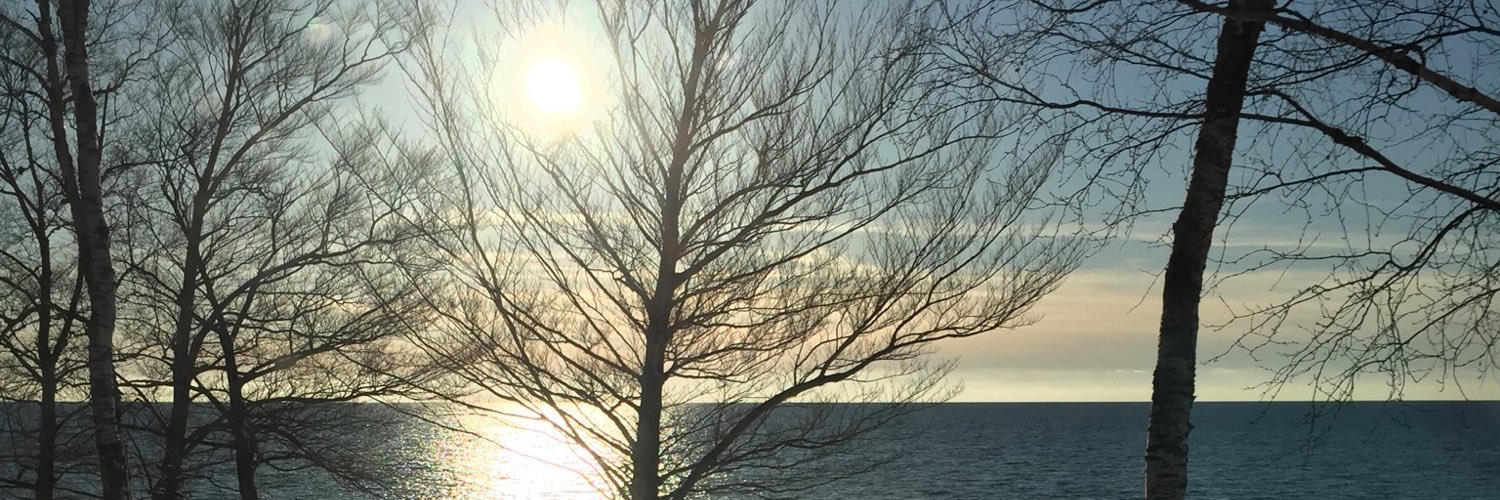 lyssaann7's profile banner image