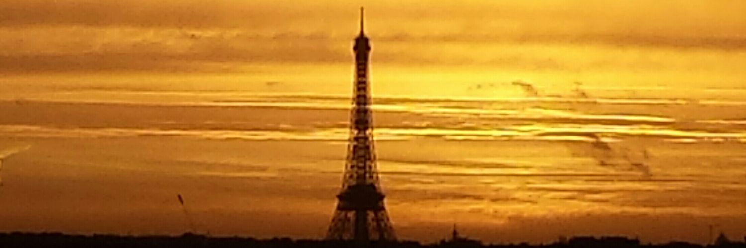 Virginie Alonzi banner