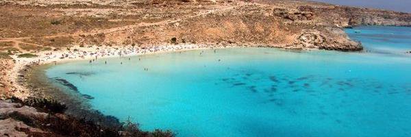 vento banner