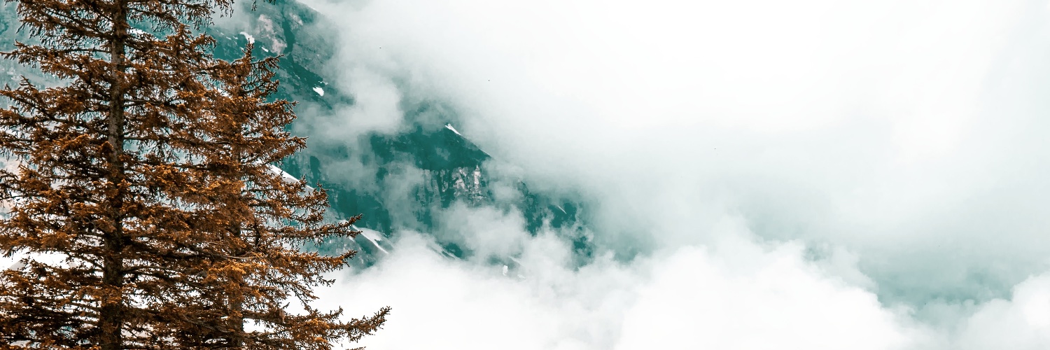 vxshwa's profile banner image