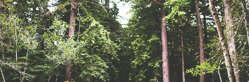 lifelongstyles's profile banner image
