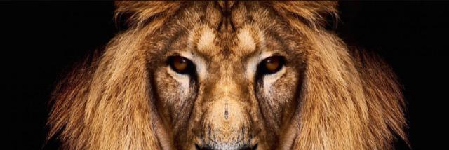samjp45's profile banner image