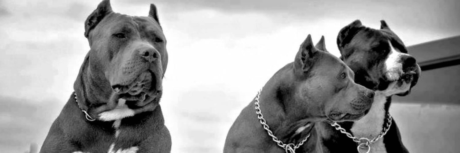 itsfredddd's profile banner image