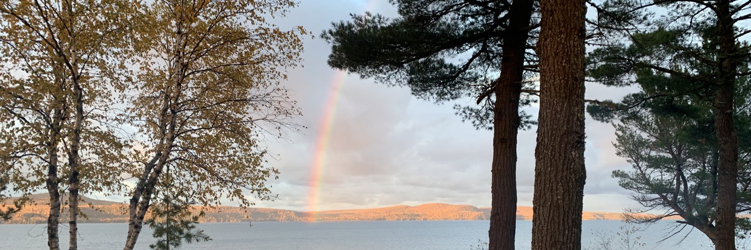 angelareinders's profile banner image