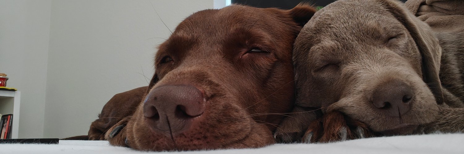 Mel Cosentino, PhD banner