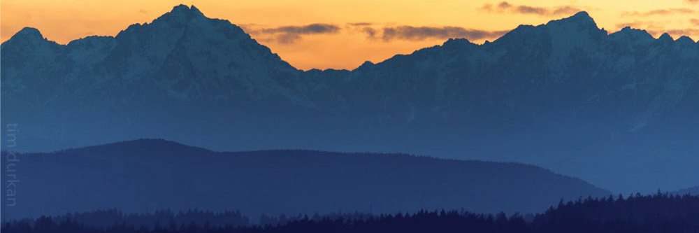 roseragan's profile banner image