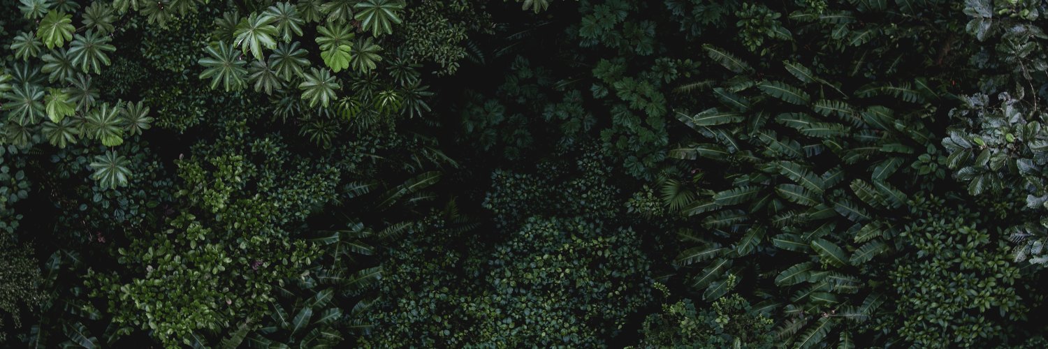 simplyagirl's profile banner image