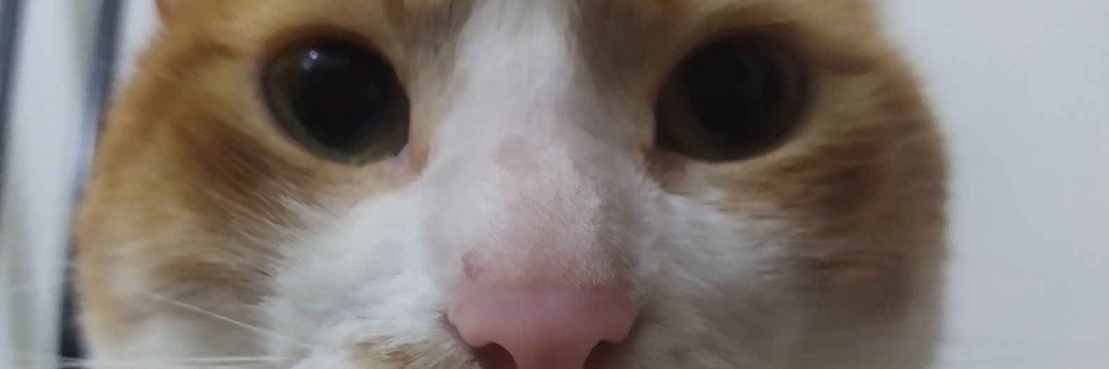 HelixHelix54's profile banner image