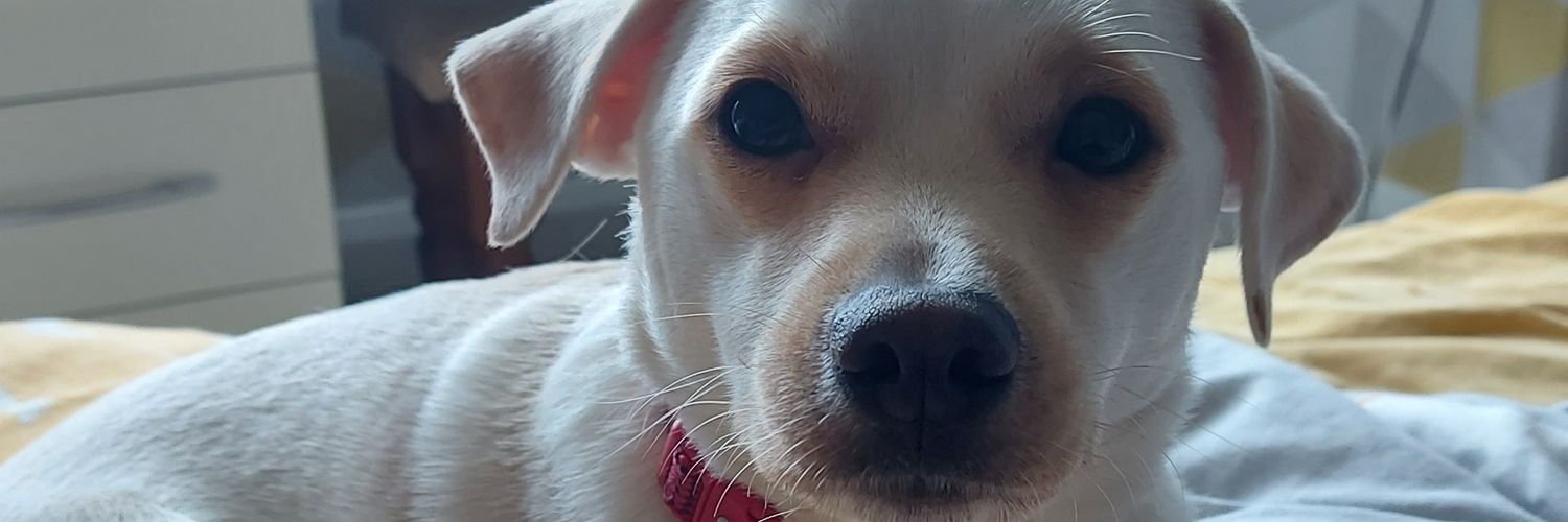 BenGil98's profile banner image