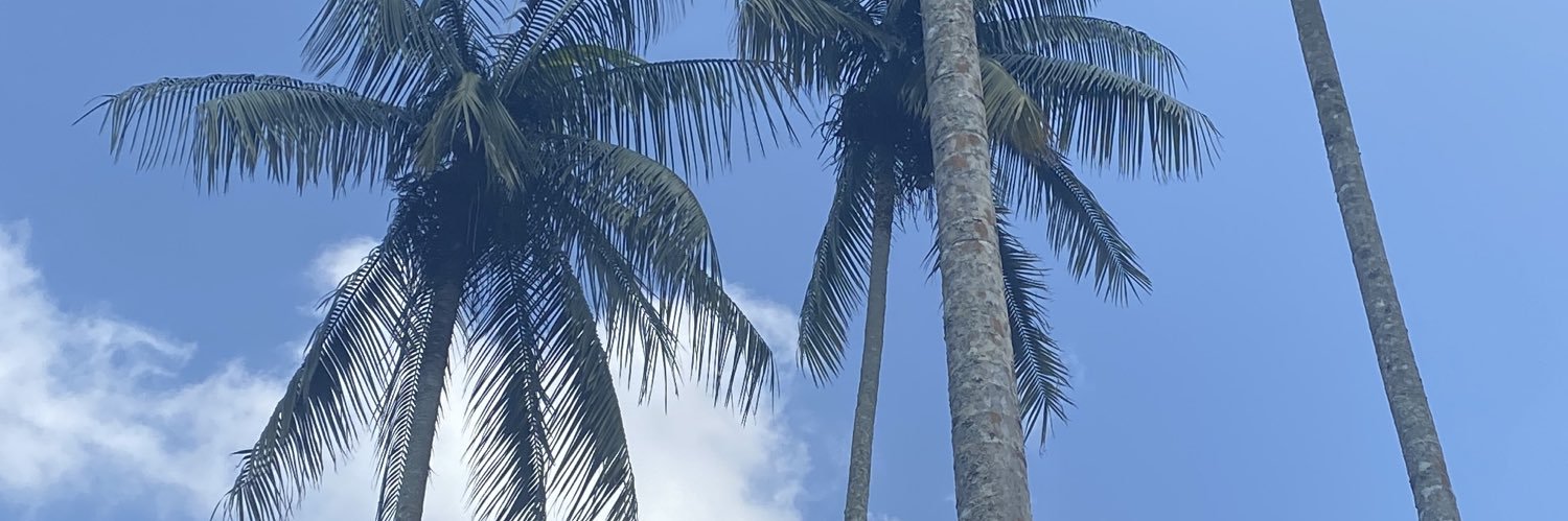 positivescandal's profile banner image