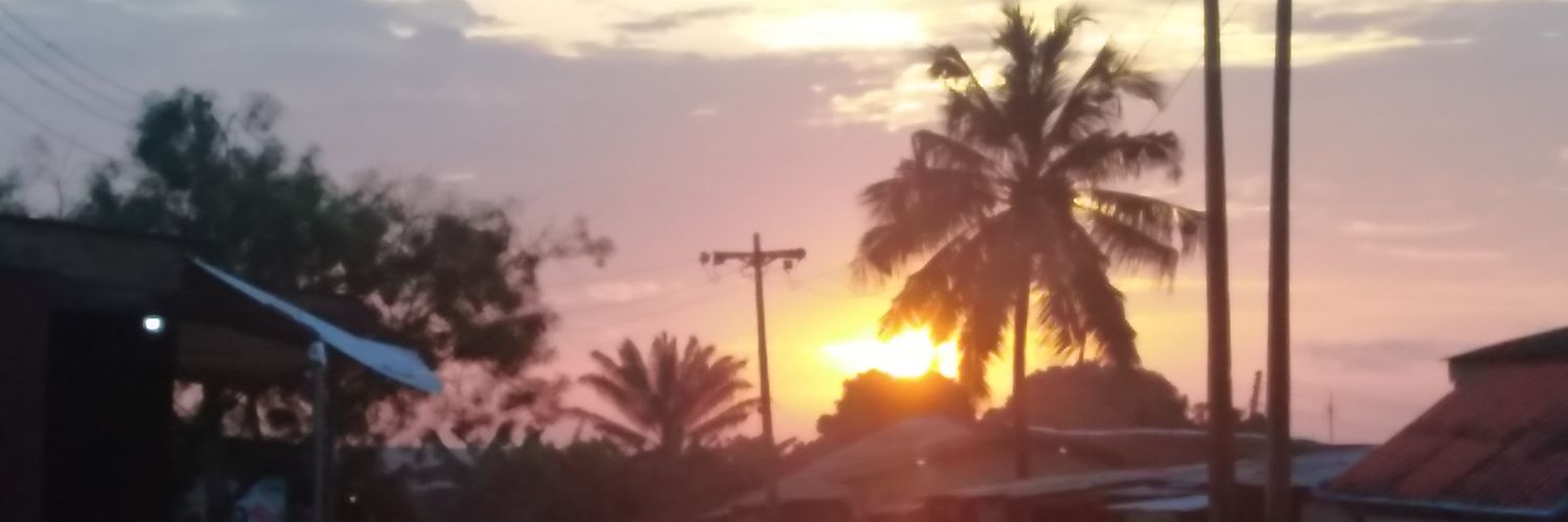 1stkingflo's profile banner image