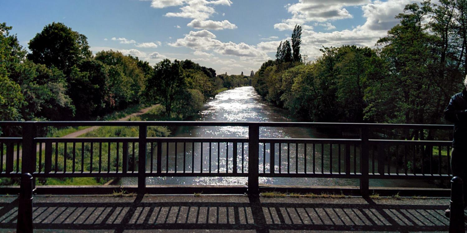 Andrew Backhouse banner