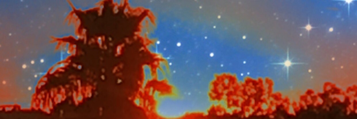 zavior13's profile banner image