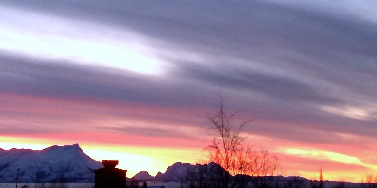 Claudia Ulloa Donoso banner