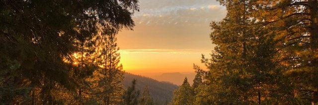 Julie Fidler 💙 banner