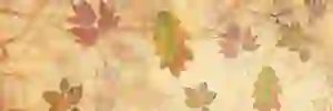 SullivanA3_LHS's profile banner image