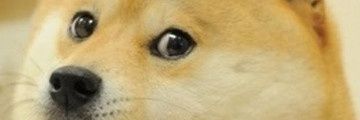 KKingjau's profile banner image