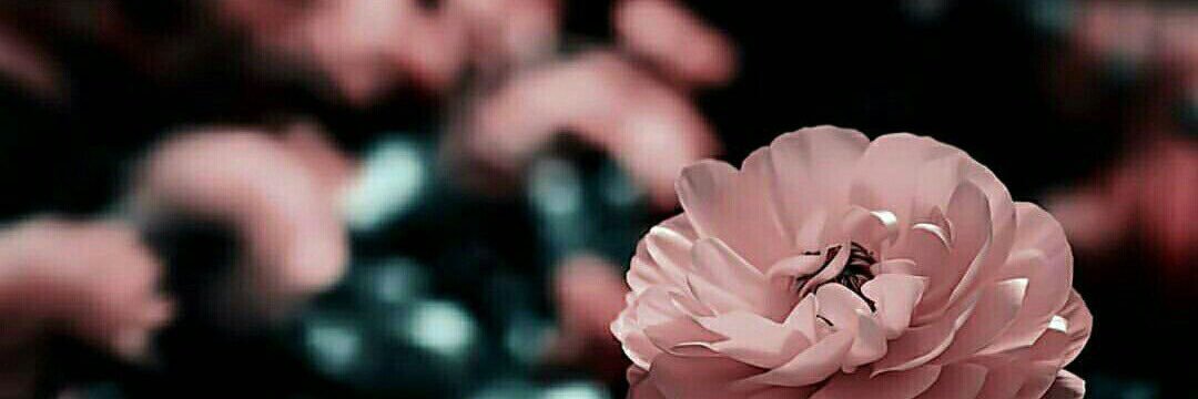 tofa124660028's profile banner image