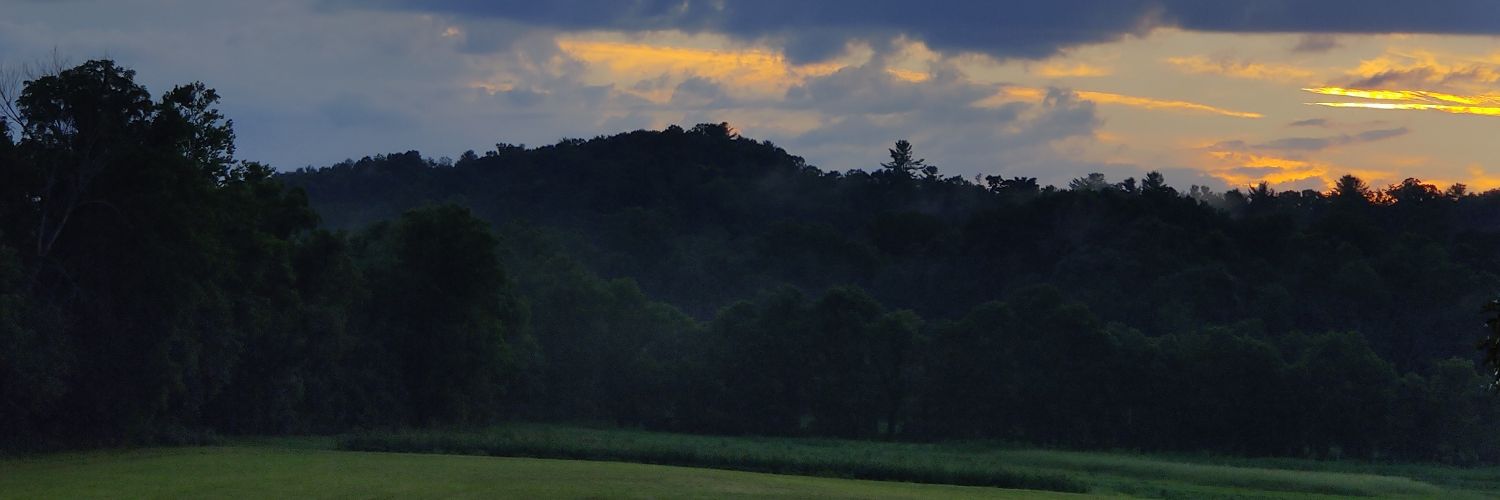 jlynch0298's profile banner image