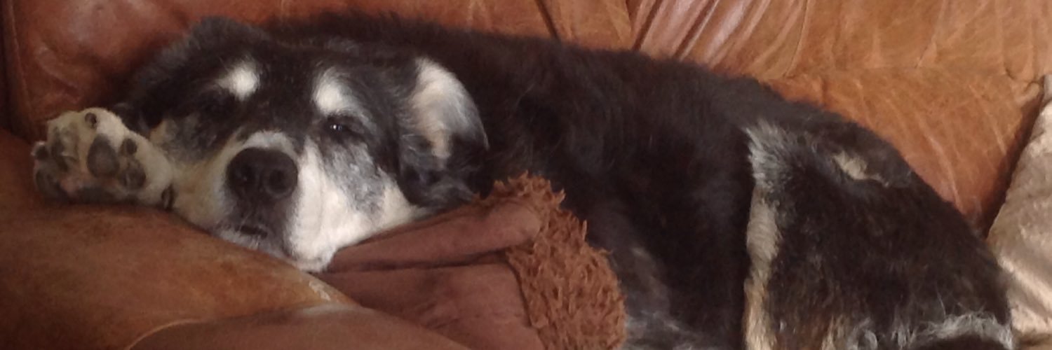 Geoff Pickering banner