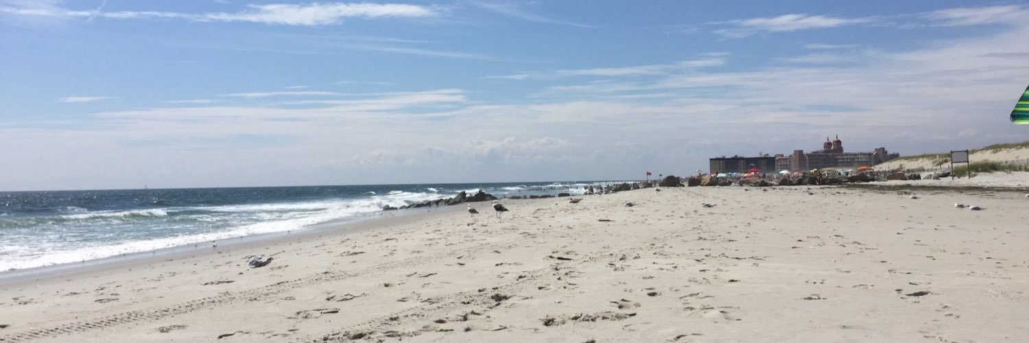 Lois Jankeloff banner