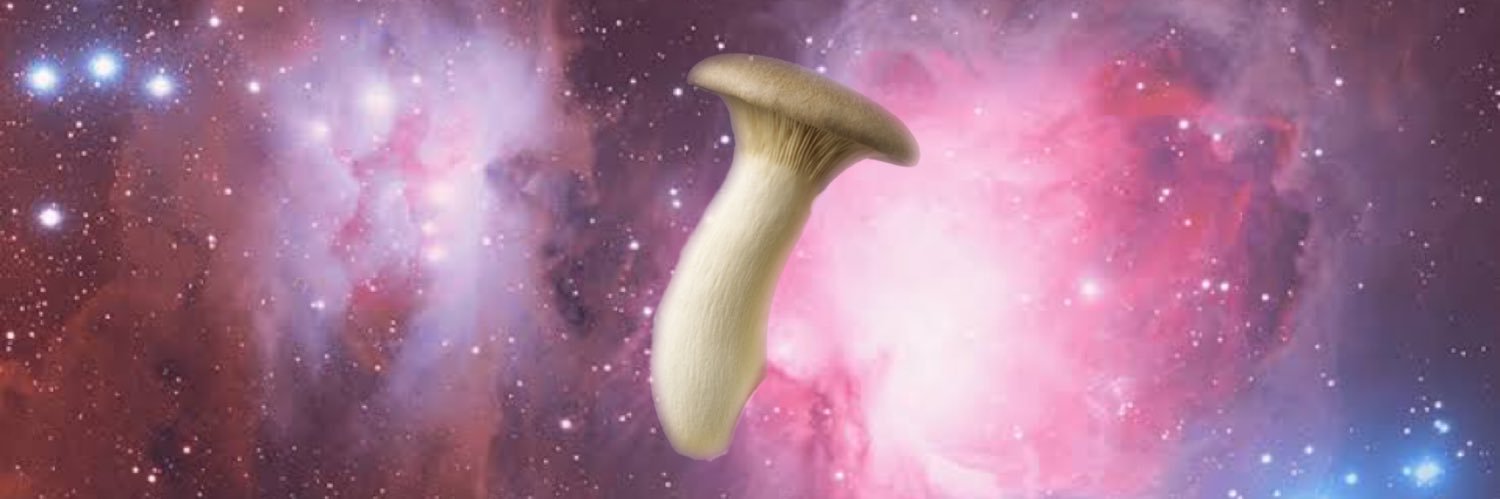 pppp_shunpy's profile banner image
