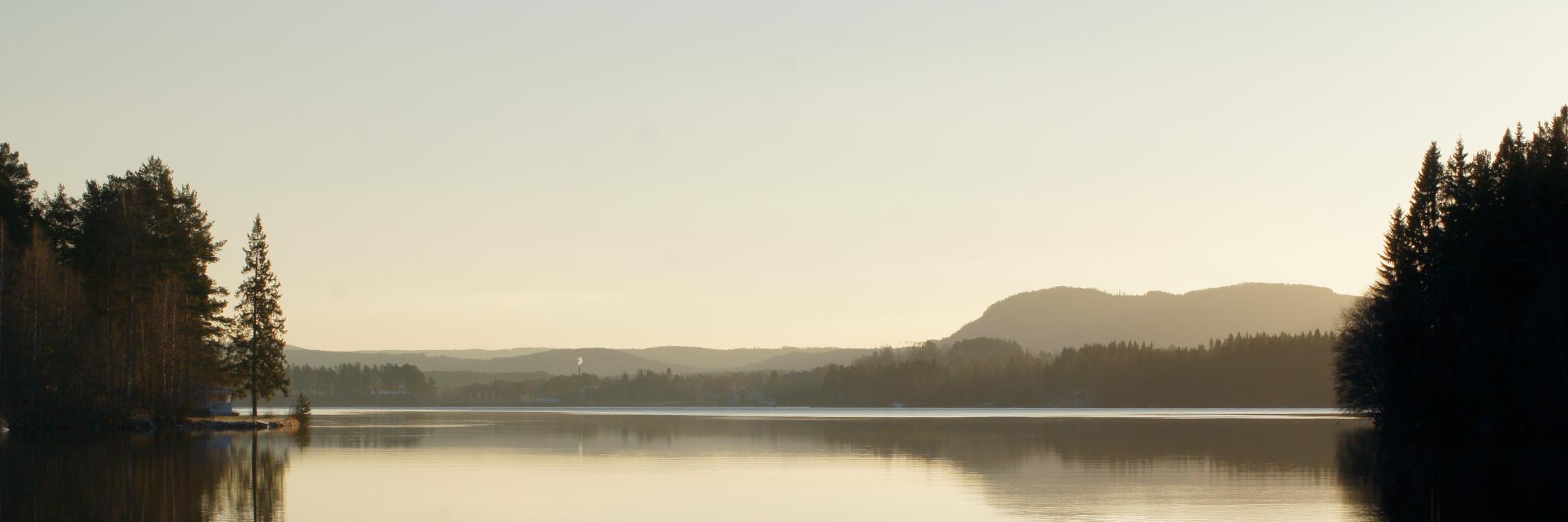 cebeji's profile banner image