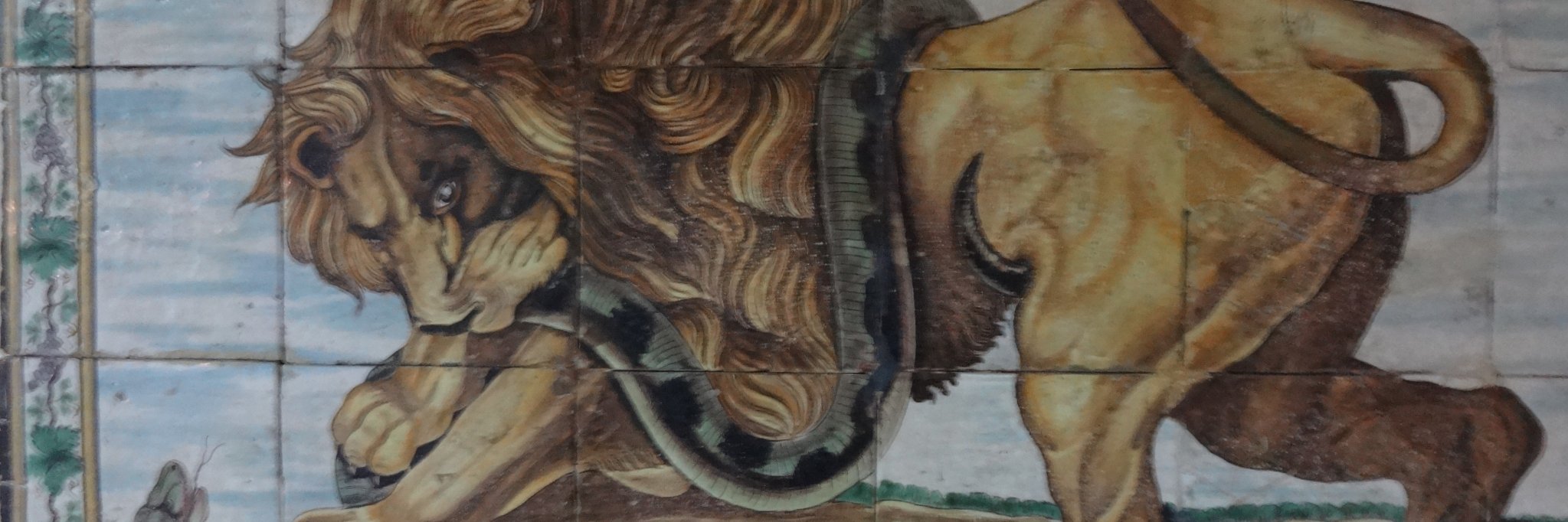 Daniel Pereyras banner