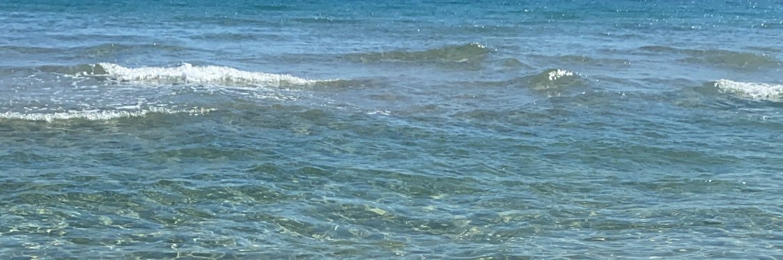 EvaVarni's profile banner image