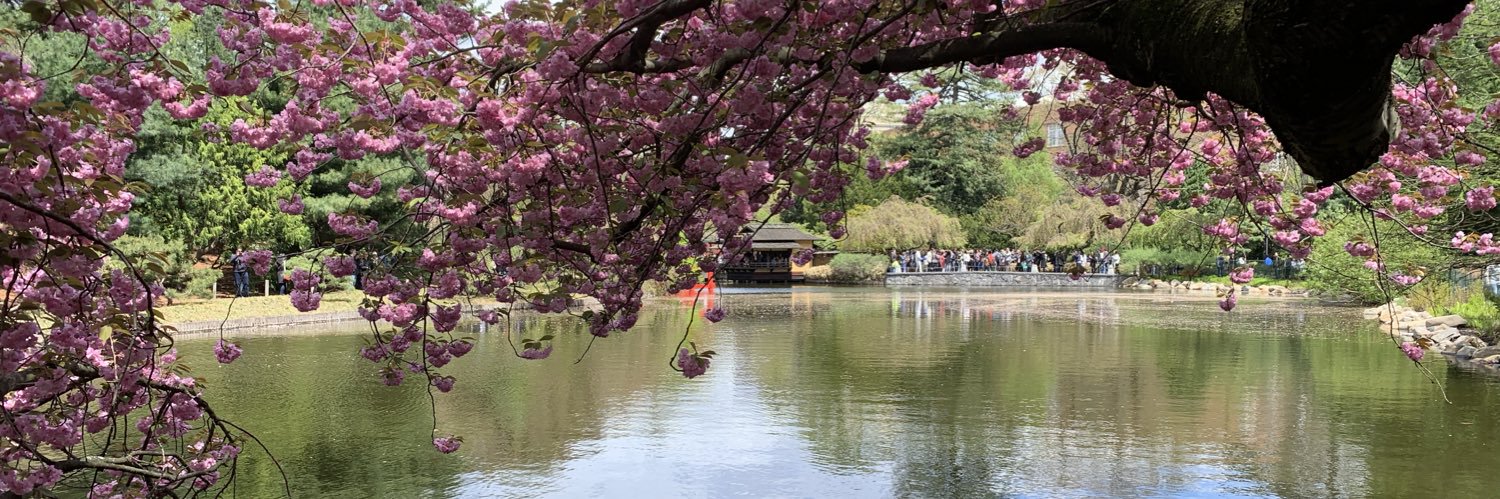 𝓬𝓱𝓮𝓵𝓵𝓮 ✦ チェリューン banner