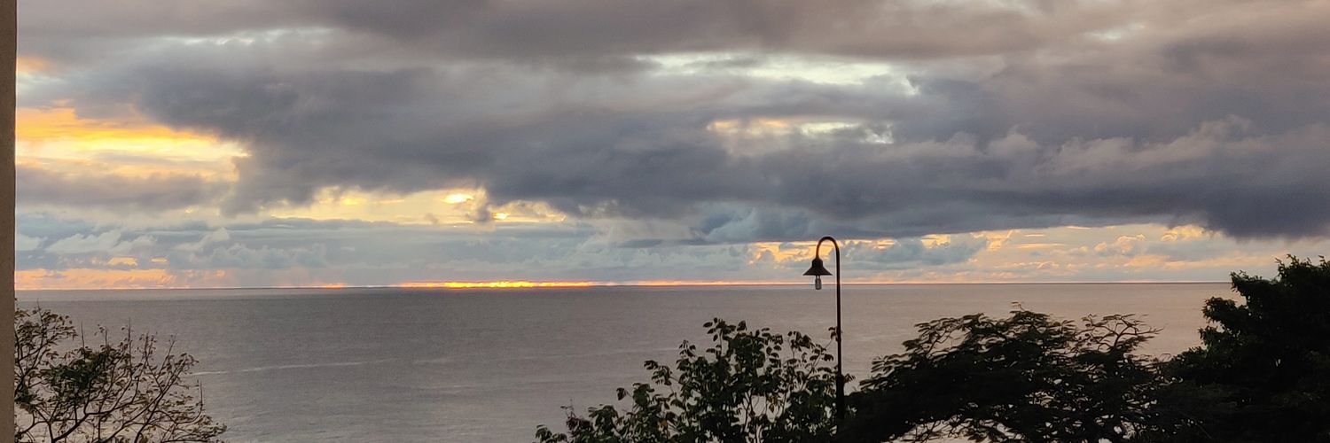 Ahmed Elkamel banner