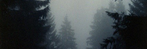 Kellyonelovee's profile banner image