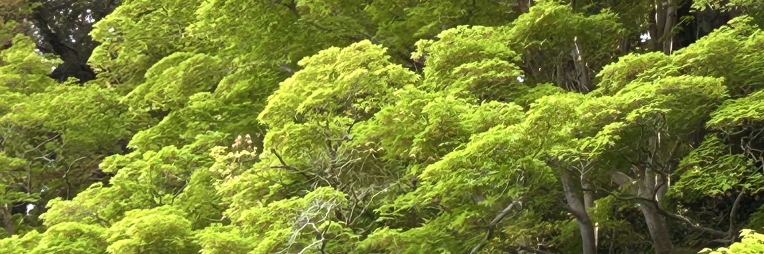 らっきーパンチ banner