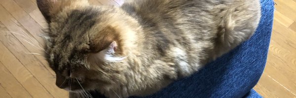 fuyutoa Profile Banner