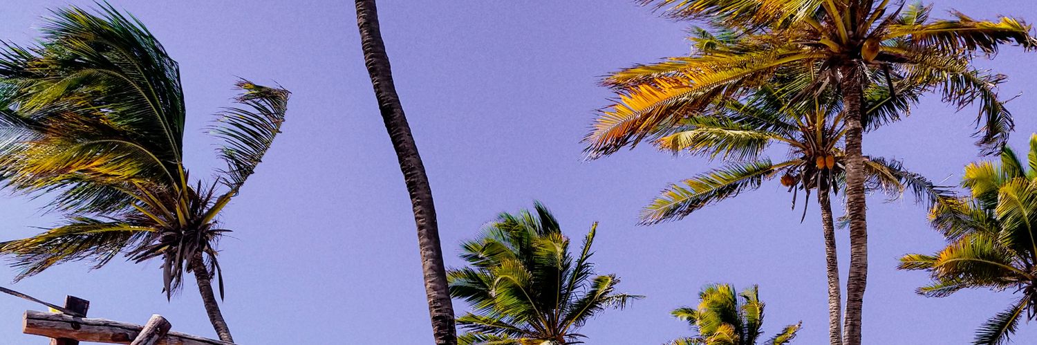 brenasilvaa's profile banner image