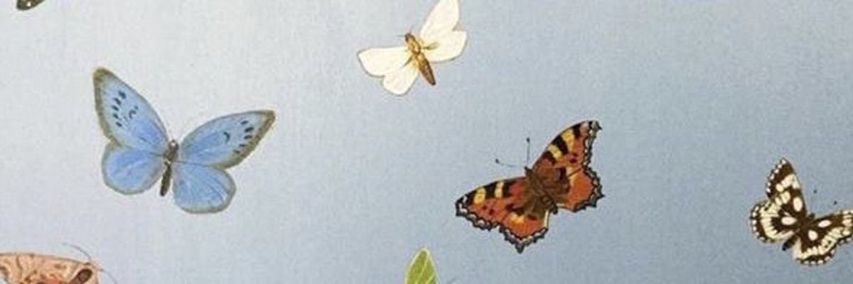 MayaRdgz28's profile banner image