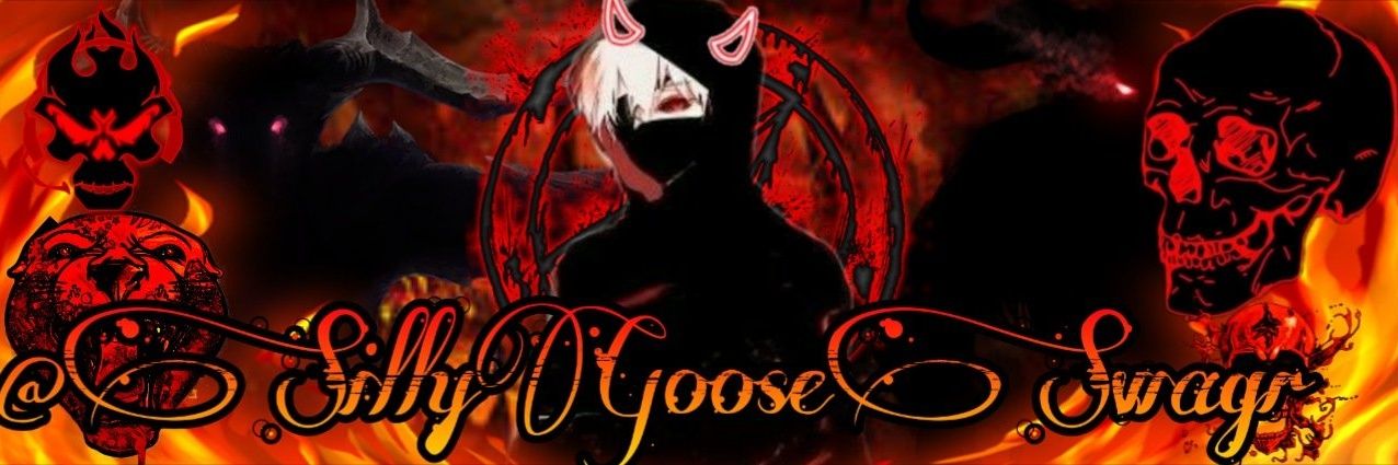 SillyGooseSwagr's profile banner image