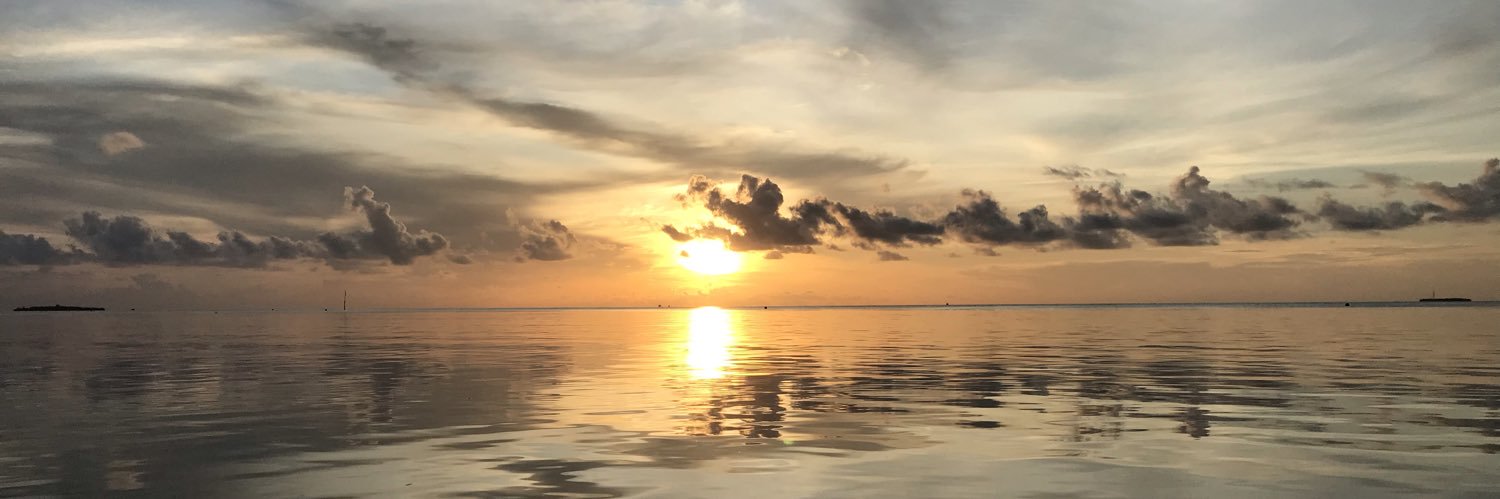 uedsm's profile banner image