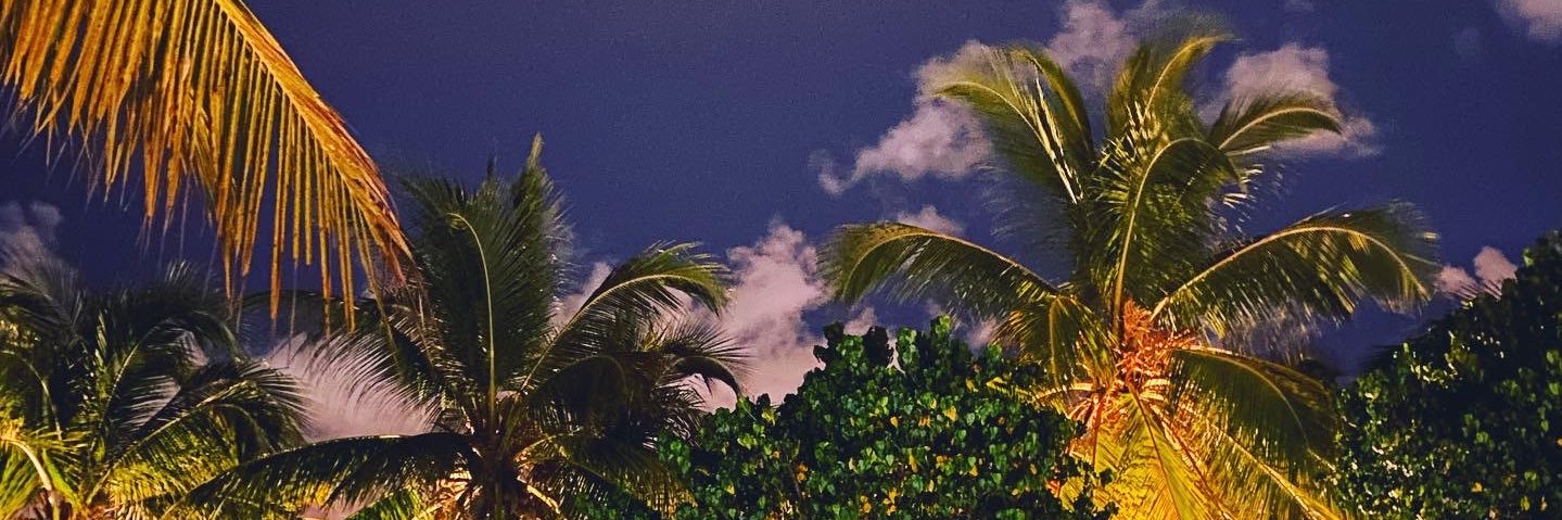 JesuOrtegac's profile banner image