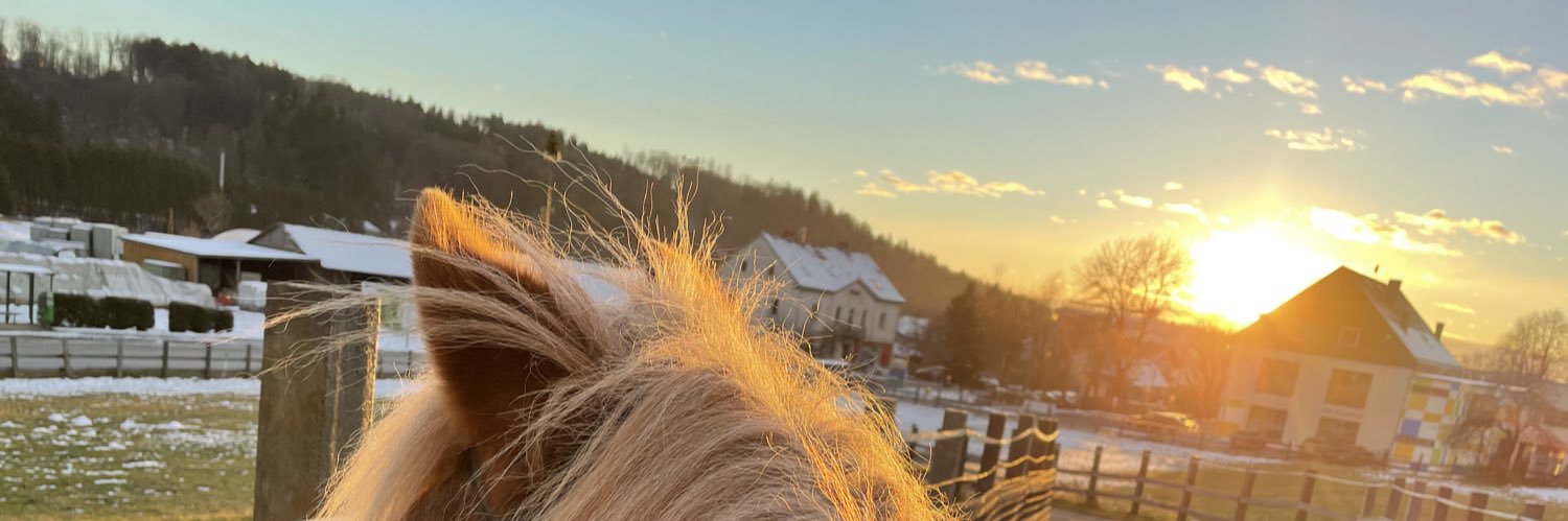 Isa Bella banner