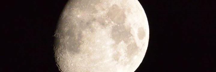 vincentdecaro's profile banner image