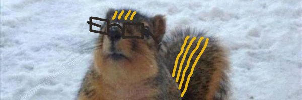 Nick the Squirrel banner