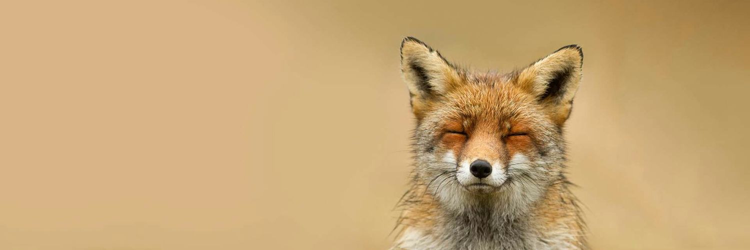 csrabl's profile banner image