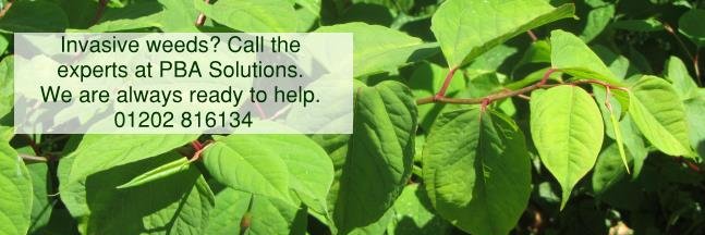 pbasolutions's profile banner image