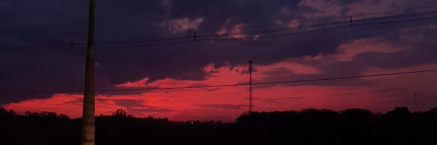 César Frisina 💚 🐷 🇮🇹 banner