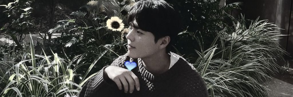 신예은 banner