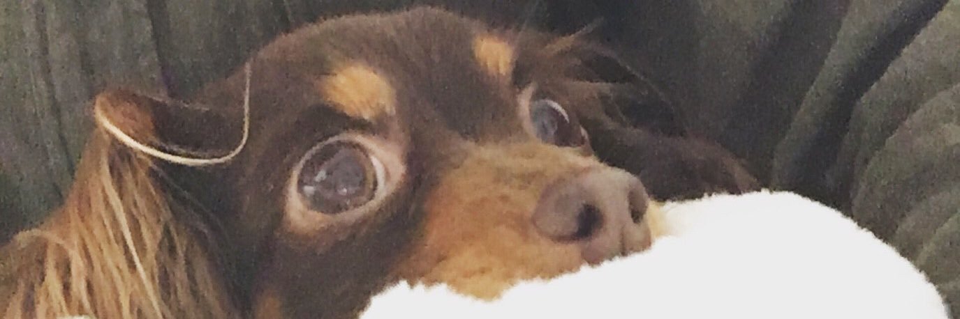taberuneruzzz's profile banner image
