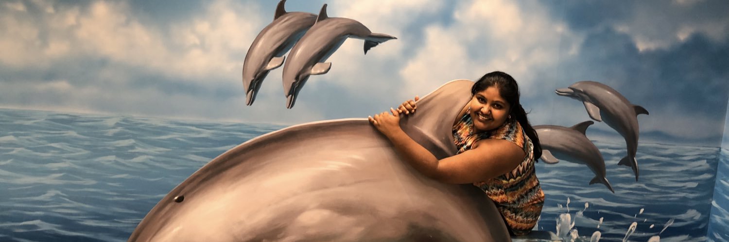 ShilamSingh's profile banner image