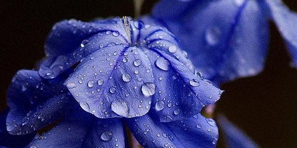 mohammed22055's profile banner image