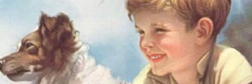 MYMansour57's profile banner image